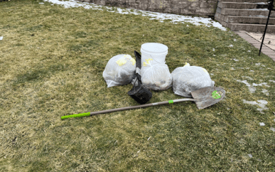 How Much Does Dog Poop Cleanup Cost? The Truth About Pet Waste Removal Services